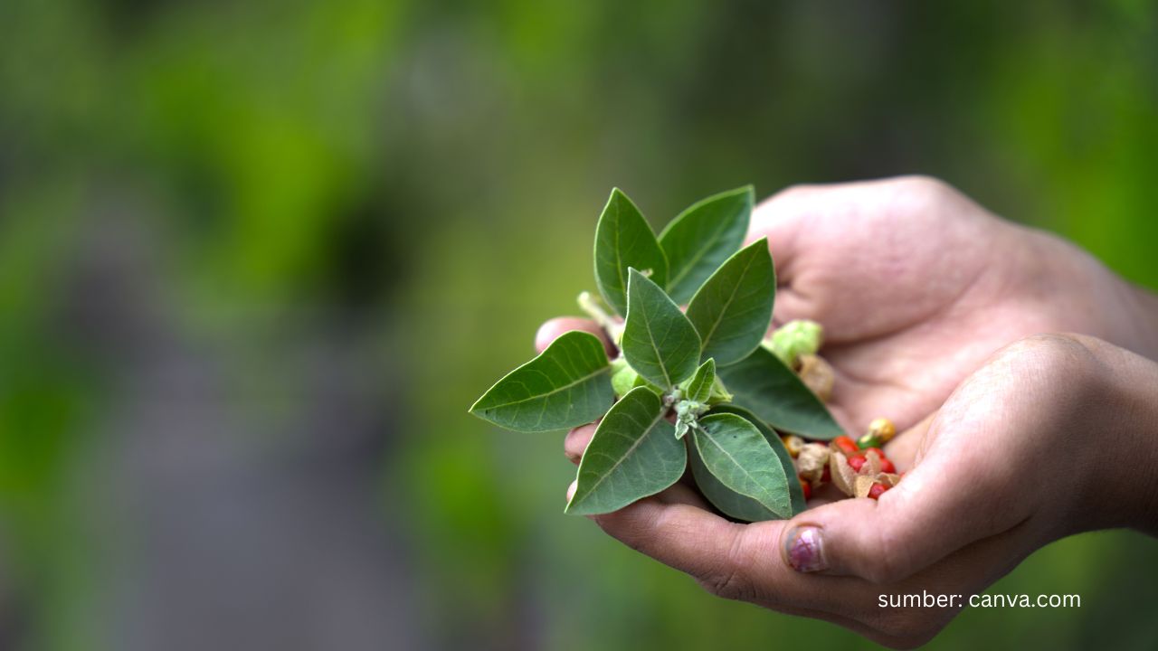 Manfaat Biografi: Mengabadikan Kisah, Menginspirasi Generasi